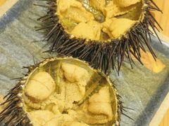 -海胆小馆(东北水饺·春柳店)