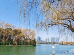 -天鹅湖体育公园