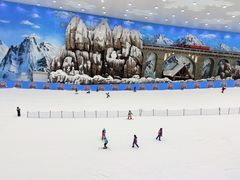 -长沙湘江冰雪世界