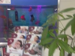 -雅悦齿科(顾村公园店)