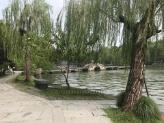 -柳浪闻莺公园
