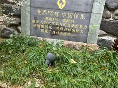 -张家港金凤凰度假村温泉