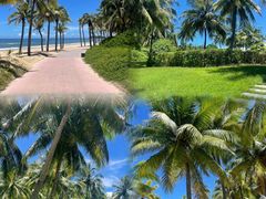 -清水湾旅游度假区