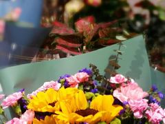 -AEON永旺(东方宝泰店)