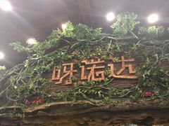 -呀诺达热带雨林