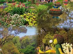 -上海共青森林公园