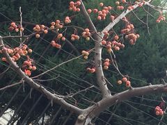 -SFC上影影城(淞南店)