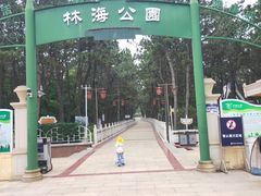 -林海公园