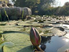 -泗洪洪泽湖湿地景区
