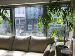 -精德口腔·种植修复·儿牙中心(财富中心店)