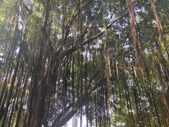 -晓港公园