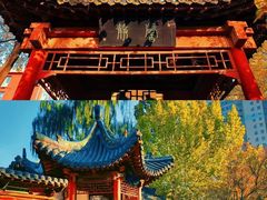 -碑林公园