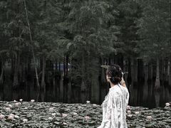 -白鹭湾湿地公园