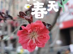 -民园广场