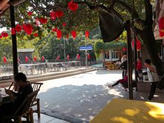 -鲤鱼塘农家山庄