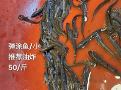 -花园菜市场
