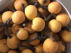 -塘栖枇杷特色园区