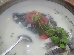 -全乐鱼馆·淳牌有机鱼直营店