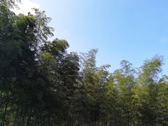 -黄山太平湖风景区