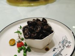 -天宫南铂玫瑰园酒店