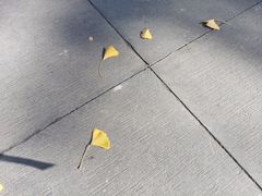 -太平禅寺