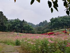 -保利石象湖景区