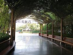 -郑州方特梦幻王国