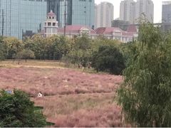 -艾溪湖湿地公园