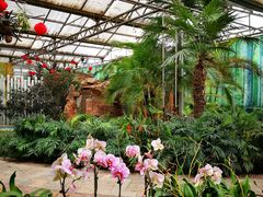 -石家庄市植物园