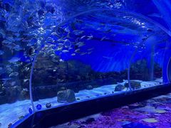 -顺德南宏海立方海洋公园