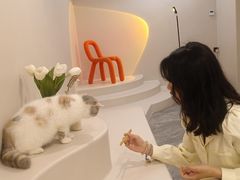-More Fun猫咖 二十只万元加菲主题