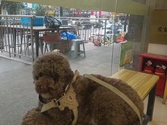 -艾贝尔宠物医院 ·中兽医·宠保定点(北门桥店)