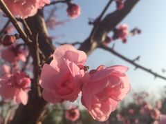 -春华海鲜城(广场西苑店)