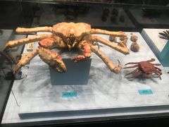 -天津自然博物馆