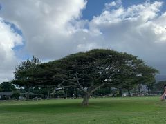 -夏威夷火山国家公园