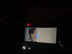 -枫花园汽车电影院(朝阳公园店)