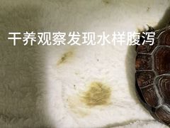 -悦宠动物医院(京丰分院)