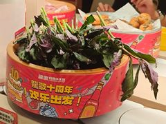-龍歌自助小火锅(市南金茂湾店)