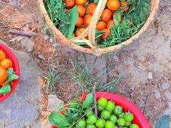 -兴福老面馆(寺路街店)