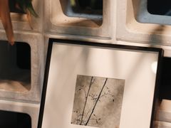 -自由生长植物工作室(深港花卉中心店)