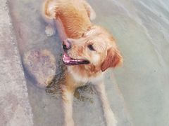 -仙海旅游度假区