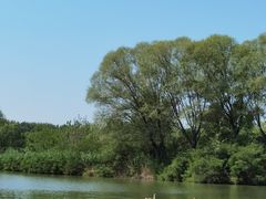 -翠湖国家城市湿地公园