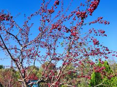 -龙溪路(地铁站)