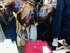 店内环境-POLO RALPH LAUREN(比斯特苏州购物村店)