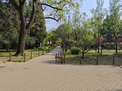 -月坛公园