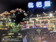 -枇杷园食为鲜火锅(南山店)