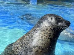 -太平洋海底世界