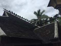 -纳兰傣雀傣味餐厅