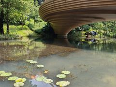-云溪植物园