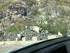 -白草畔自然风景区